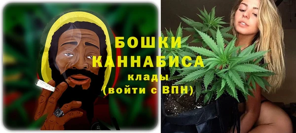 хмурый Верхний Тагил