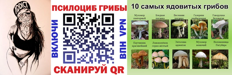 Галлюциногенные грибы MAGIC MUSHROOMS  Купить  Касимов 